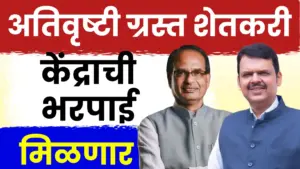 अतिवृष्टीग्रस्त शेतकऱ्यांसाठी दिलासा: राज्याकडून अखेर केंद्राला मदतीचा प्रस्ताव सादर!